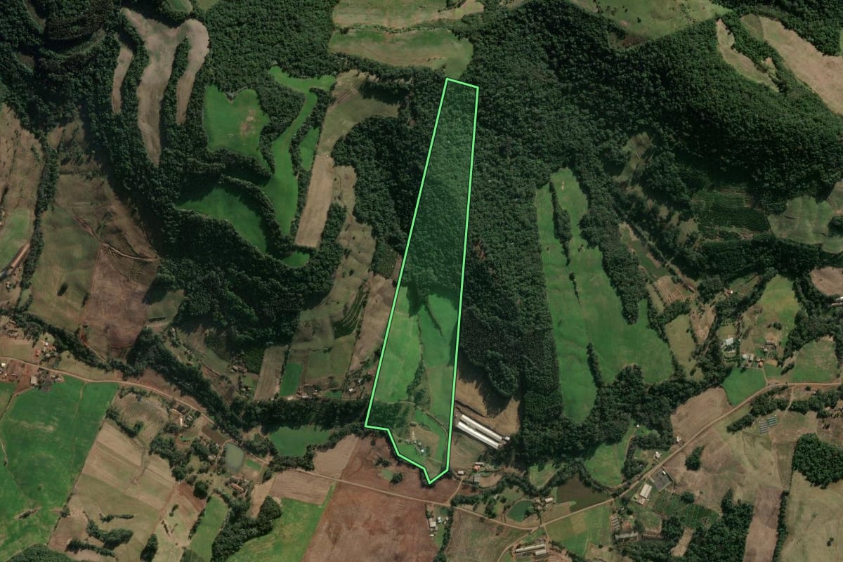 Imagem de satélite do imóvel rural em Severiano de Almeida (RS), com o contorno declarado no CAR desenhado por cima.