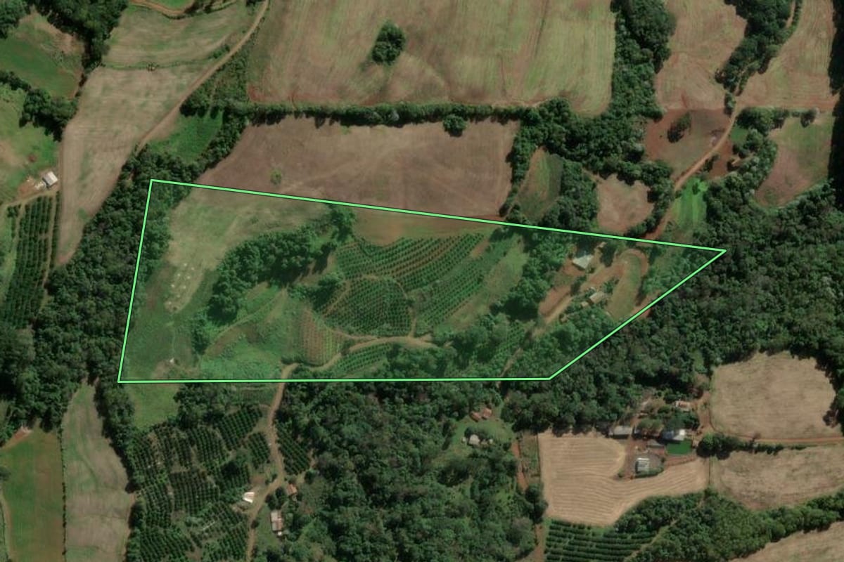 Imagem de satélite do imóvel rural em Severiano de Almeida (RS), com o contorno declarado no CAR desenhado por cima.