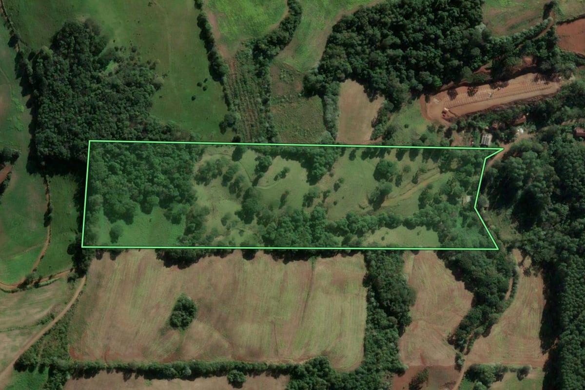 Imagem de satélite do imóvel rural em Severiano de Almeida (RS), com o contorno declarado no CAR desenhado por cima.