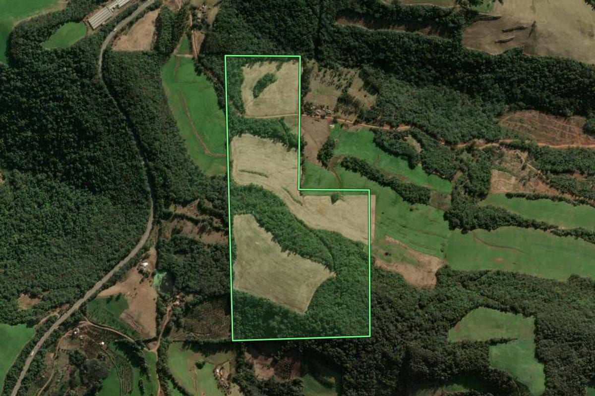 Imagem de satélite do imóvel rural em Severiano de Almeida (RS), com o contorno declarado no CAR desenhado por cima.