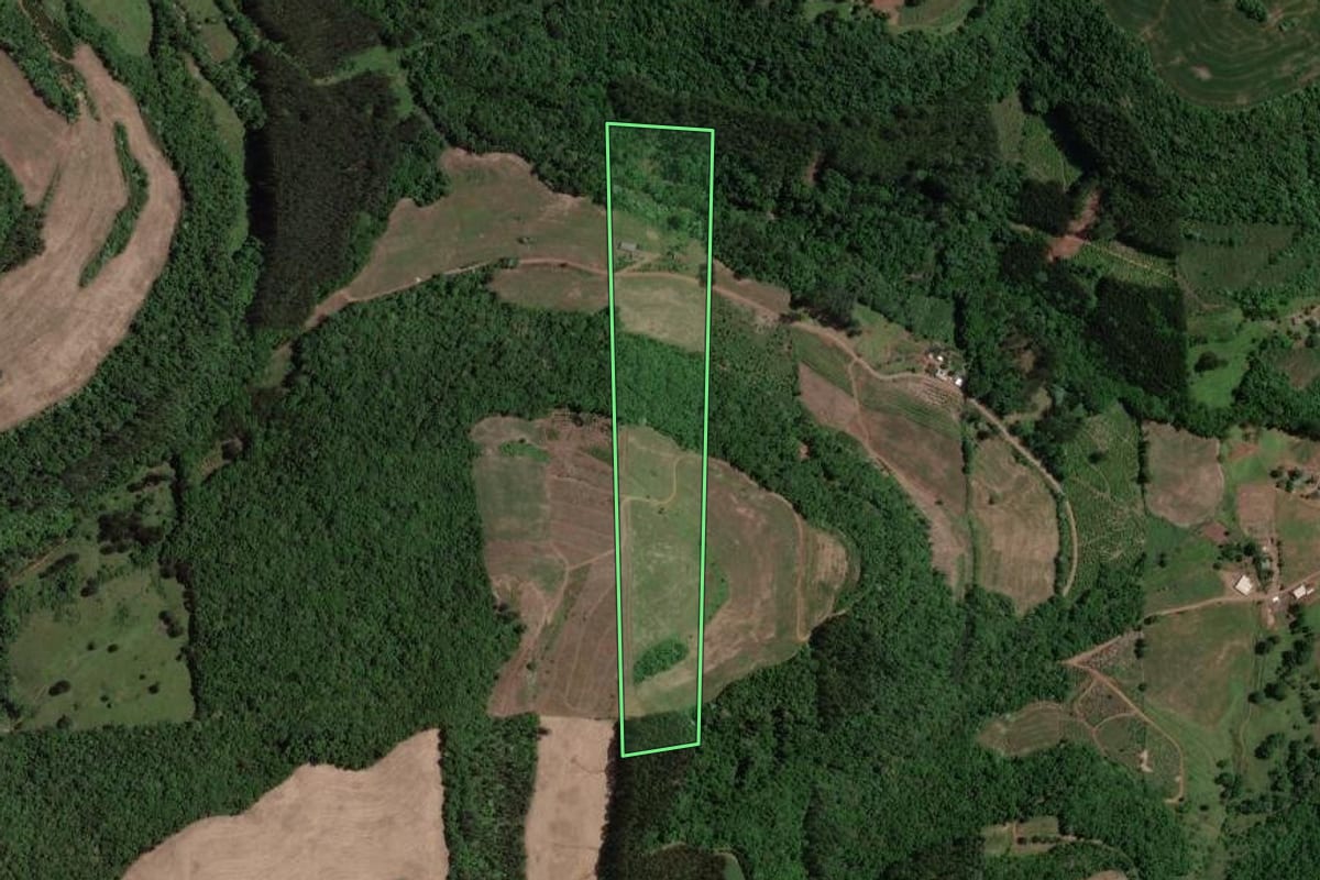 Imagem de satélite do imóvel rural em Severiano de Almeida (RS), com o contorno declarado no CAR desenhado por cima.