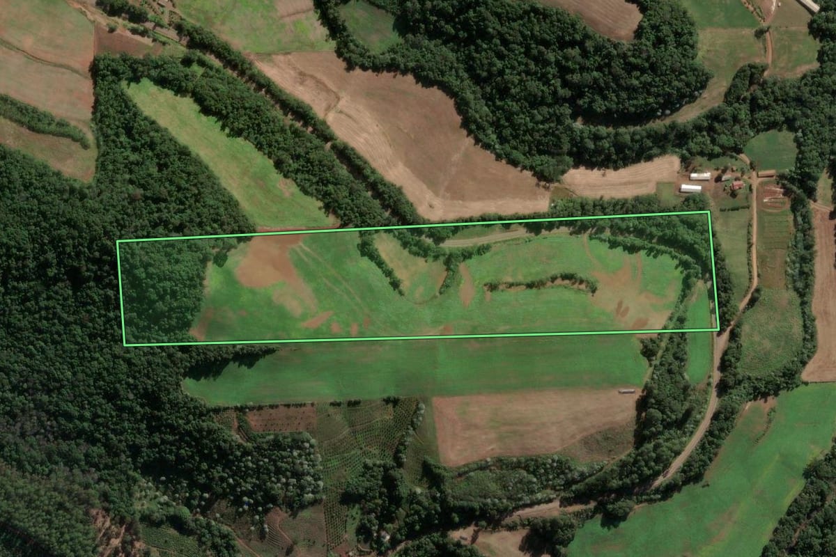 Imagem de satélite do imóvel rural em Severiano de Almeida (RS), com o contorno declarado no CAR desenhado por cima.