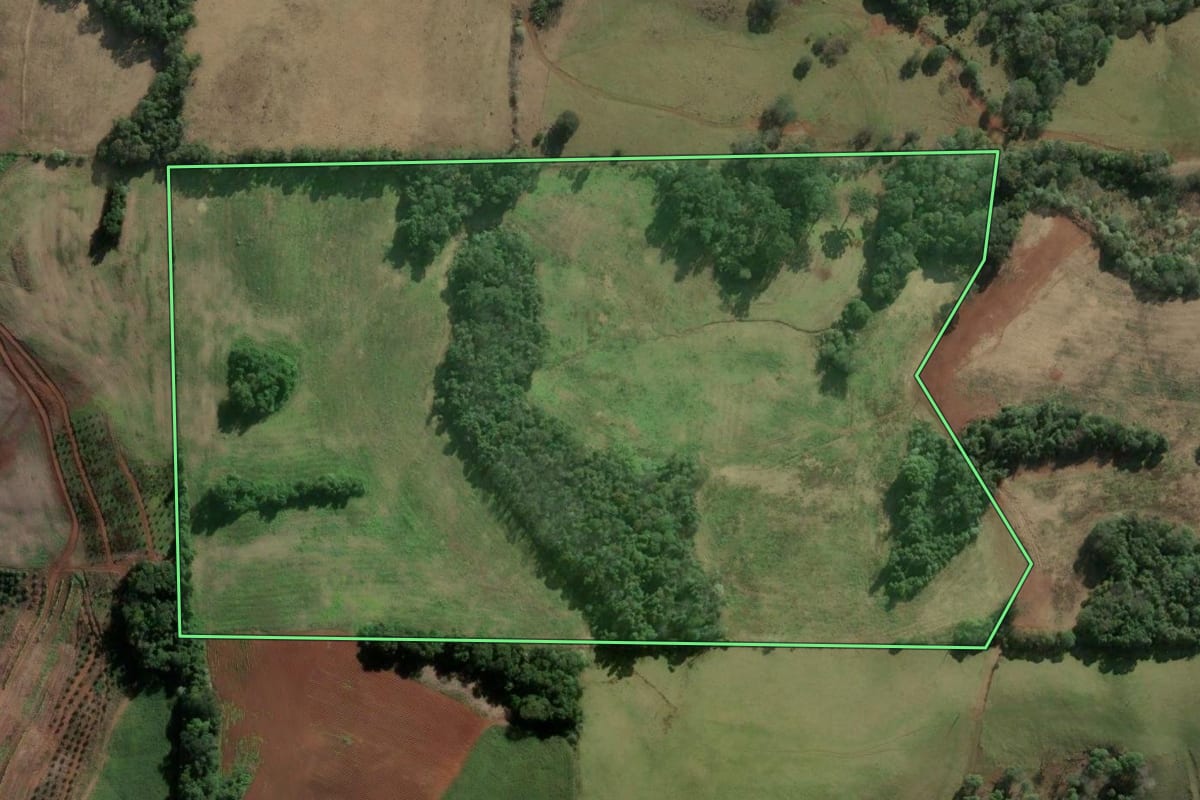 Imagem de satélite do imóvel rural em Severiano de Almeida (RS), com o contorno declarado no CAR desenhado por cima.
