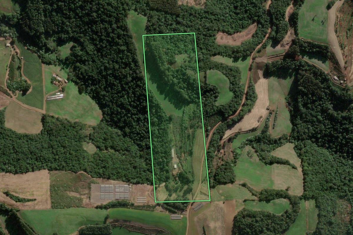 Imagem de satélite do imóvel rural em Severiano de Almeida (RS), com o contorno declarado no CAR desenhado por cima.