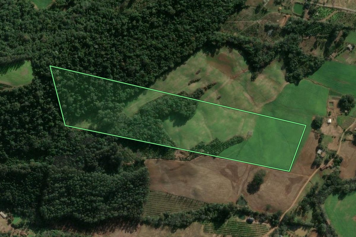 Imagem de satélite do imóvel rural em Severiano de Almeida (RS), com o contorno declarado no CAR desenhado por cima.