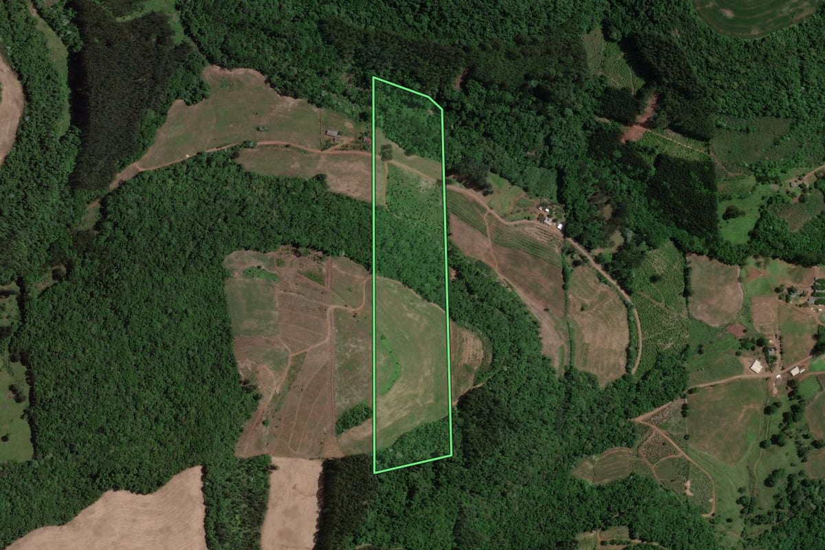 Imagem de satélite do imóvel rural em Severiano de Almeida (RS), com o contorno declarado no CAR desenhado por cima.