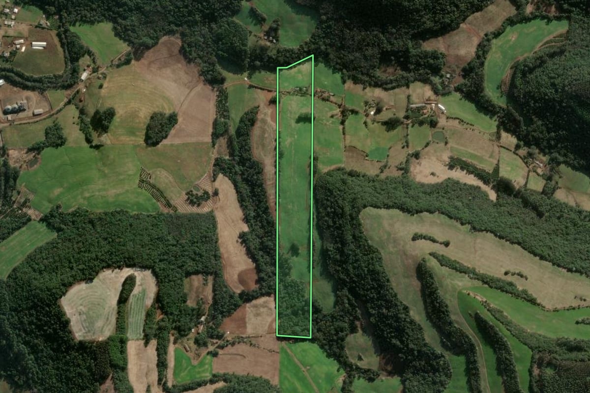 Imagem de satélite do imóvel rural em Severiano de Almeida (RS), com o contorno declarado no CAR desenhado por cima.