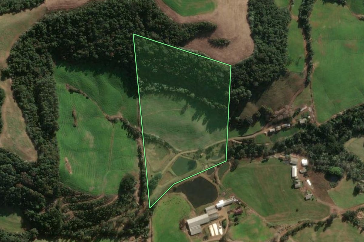Imagem de satélite do imóvel rural em Severiano de Almeida (RS), com o contorno declarado no CAR desenhado por cima.