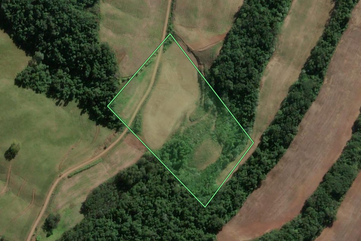 Imagem de satélite do imóvel rural em Severiano de Almeida (RS), com o contorno declarado no CAR desenhado por cima.