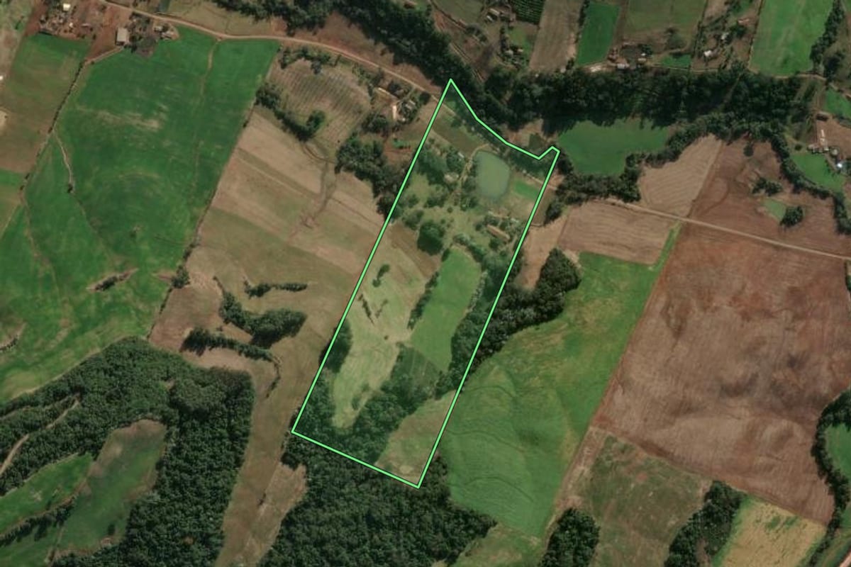 Imagem de satélite do imóvel rural em Severiano de Almeida (RS), com o contorno declarado no CAR desenhado por cima.
