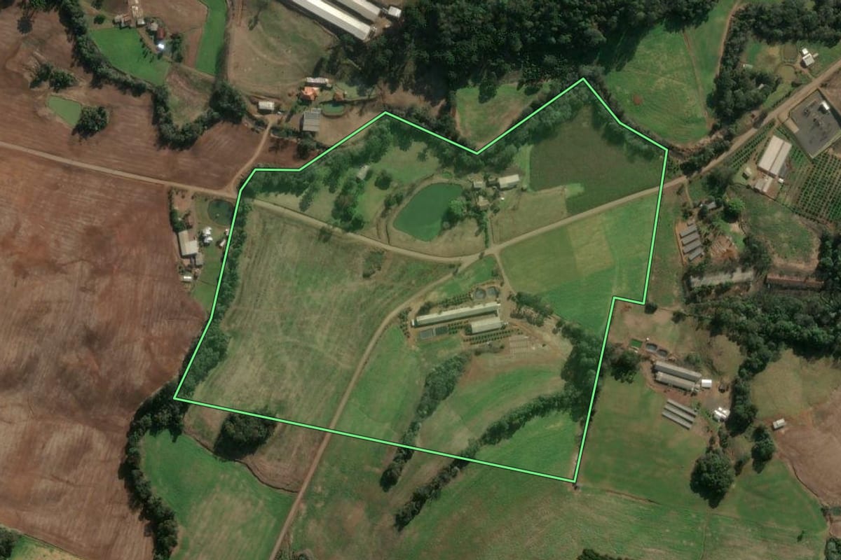 Imagem de satélite do imóvel rural em Severiano de Almeida (RS), com o contorno declarado no CAR desenhado por cima.