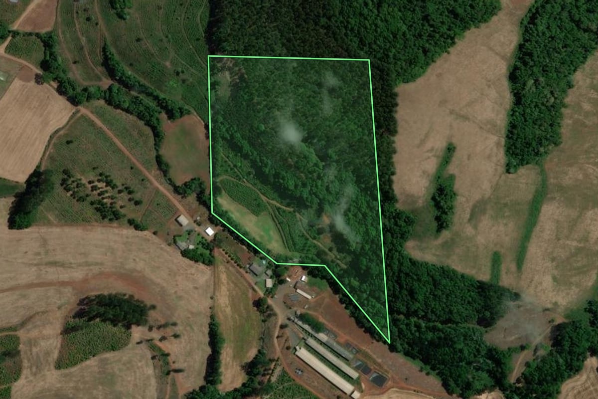 Imagem de satélite do imóvel rural em Severiano de Almeida (RS), com o contorno declarado no CAR desenhado por cima.
