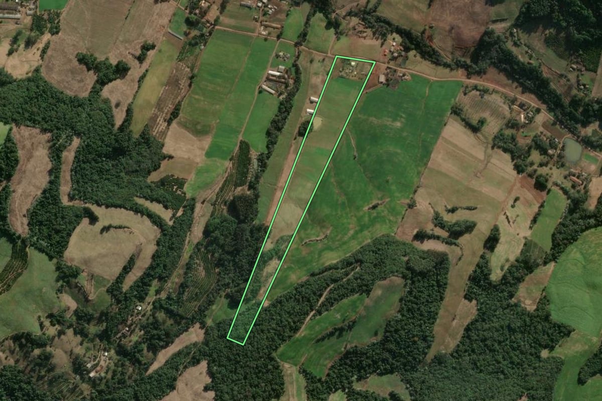 Imagem de satélite do imóvel rural em Severiano de Almeida (RS), com o contorno declarado no CAR desenhado por cima.