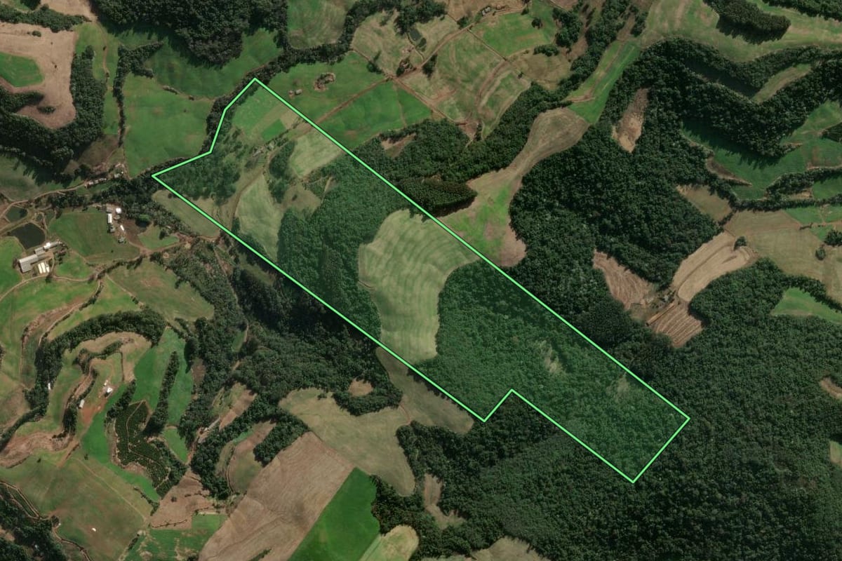 Imagem de satélite do imóvel rural em Severiano de Almeida (RS), com o contorno declarado no CAR desenhado por cima.