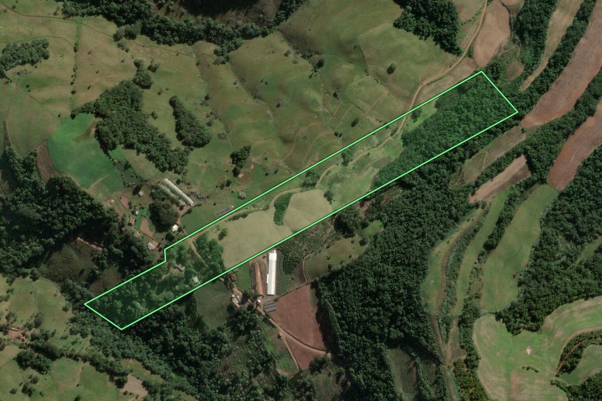 Imagem de satélite do imóvel rural em Severiano de Almeida (RS), com o contorno declarado no CAR desenhado por cima.
