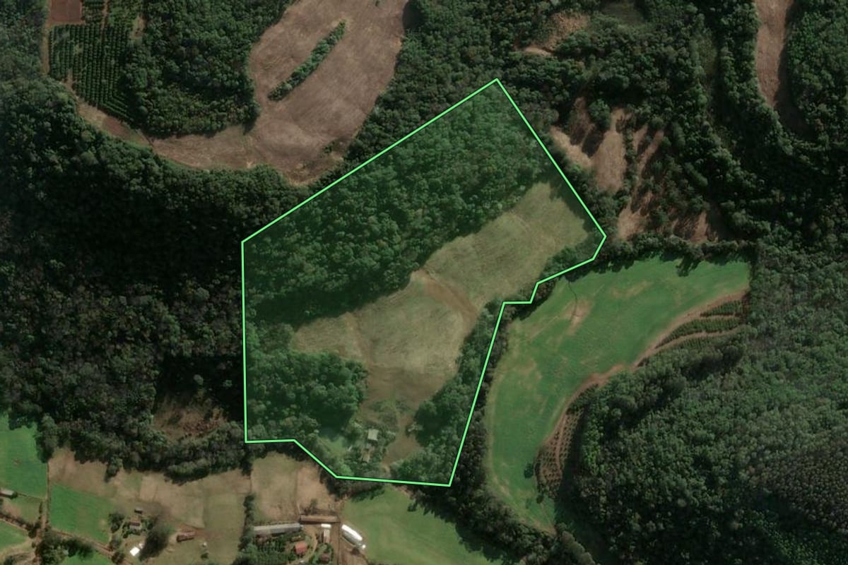 Imagem de satélite do imóvel rural em Severiano de Almeida (RS), com o contorno declarado no CAR desenhado por cima.