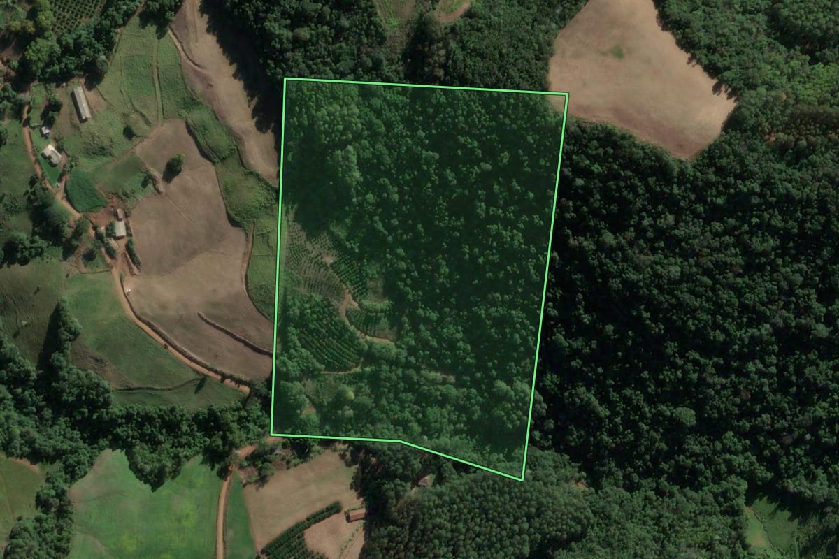 Imagem de satélite do imóvel rural em Severiano de Almeida (RS), com o contorno declarado no CAR desenhado por cima.
