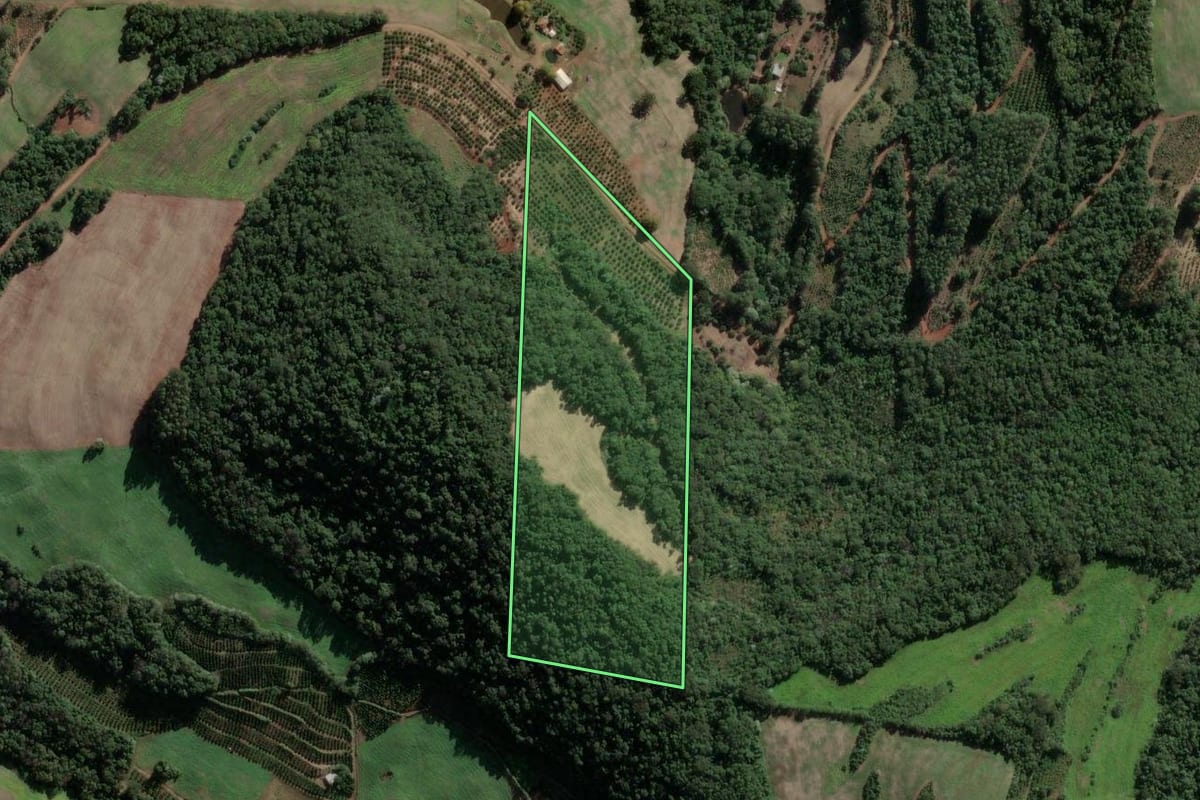 Imagem de satélite do imóvel rural em Severiano de Almeida (RS), com o contorno declarado no CAR desenhado por cima.