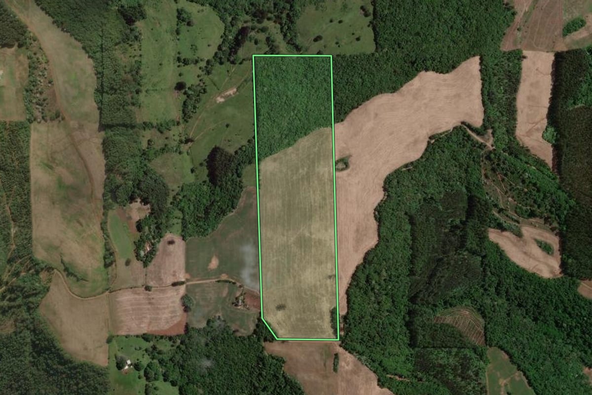 Imagem de satélite do imóvel rural em Severiano de Almeida (RS), com o contorno declarado no CAR desenhado por cima.