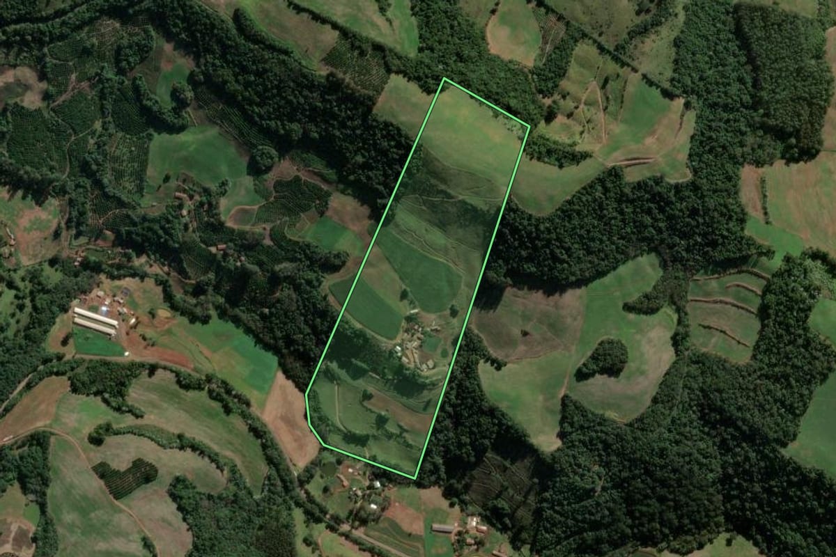 Imagem de satélite do imóvel rural em Severiano de Almeida (RS), com o contorno declarado no CAR desenhado por cima.