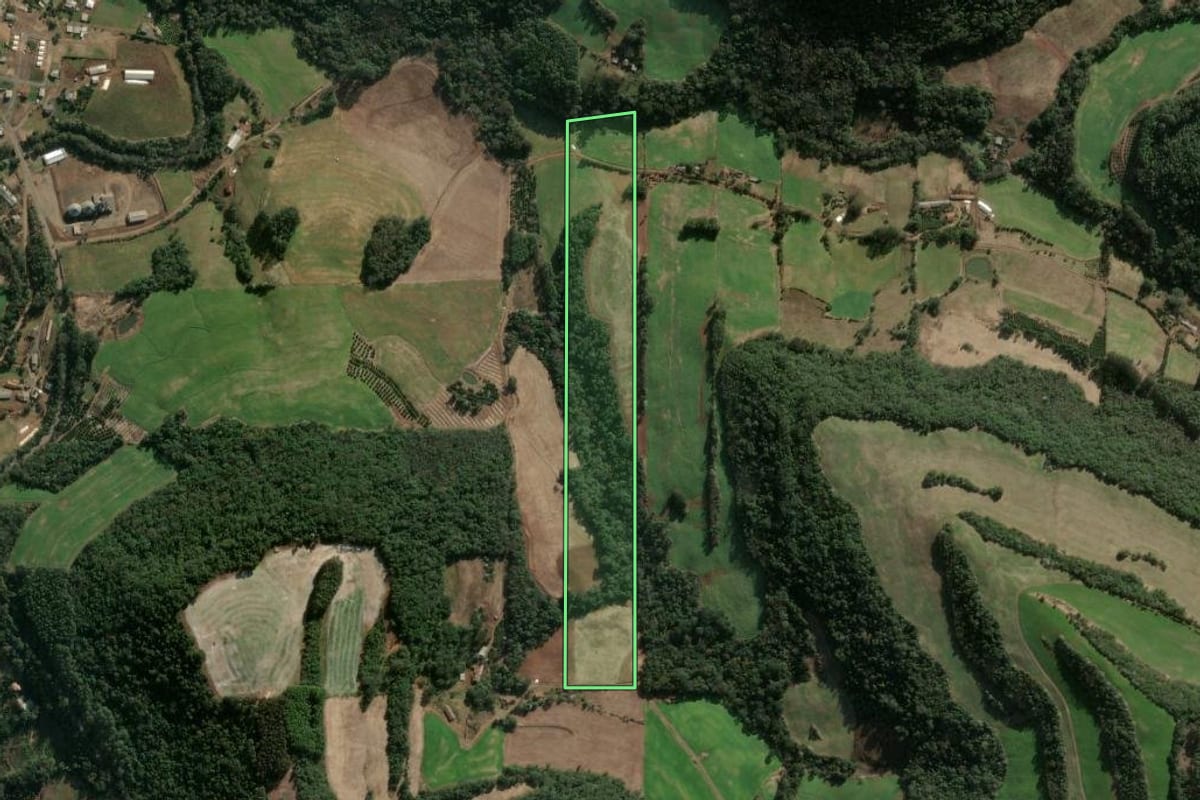 Imagem de satélite do imóvel rural em Severiano de Almeida (RS), com o contorno declarado no CAR desenhado por cima.