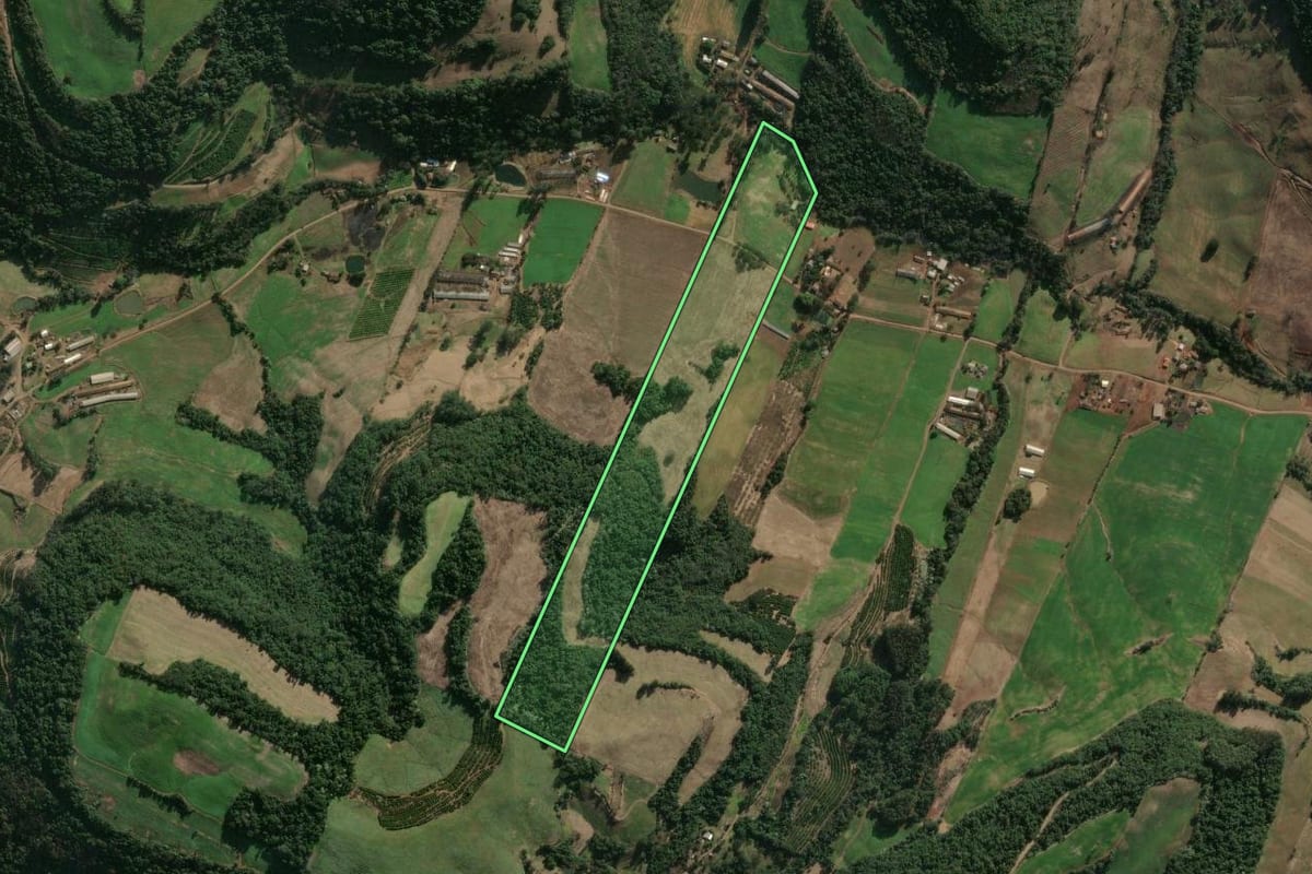 Imagem de satélite do imóvel rural em Severiano de Almeida (RS), com o contorno declarado no CAR desenhado por cima.