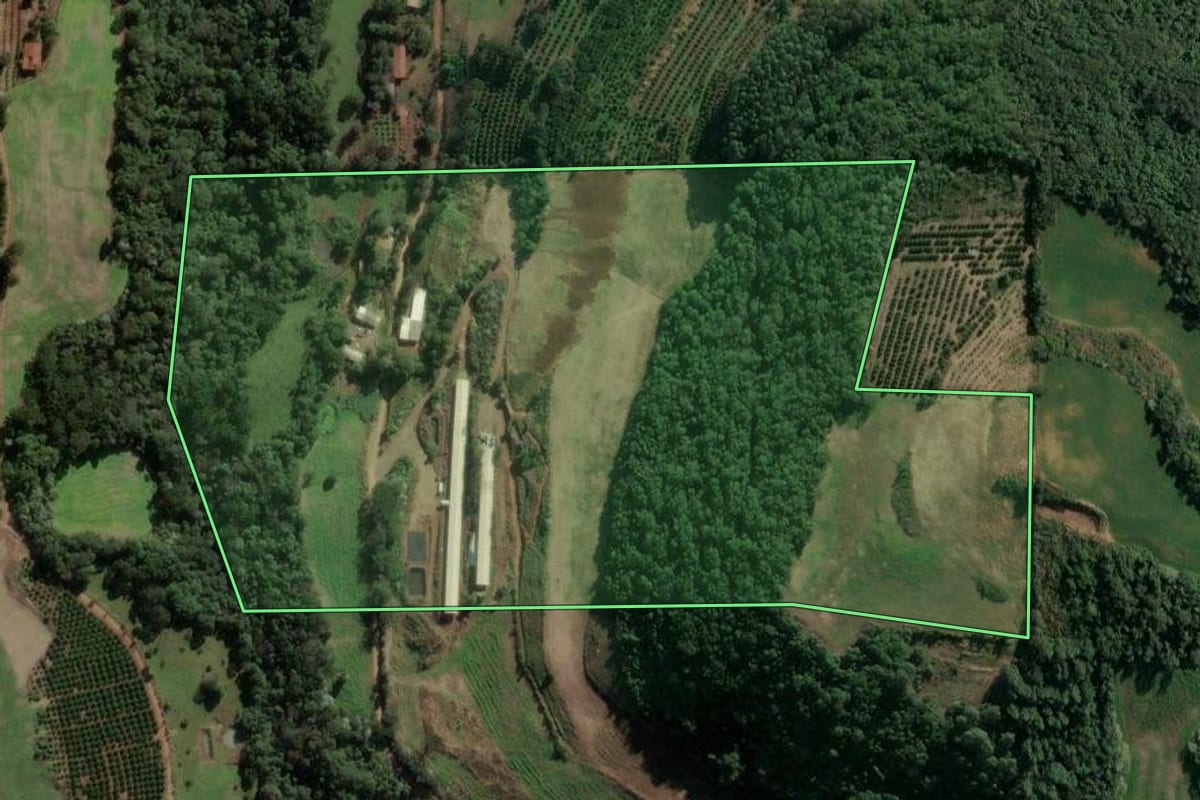 Imagem de satélite do imóvel rural em Severiano de Almeida (RS), com o contorno declarado no CAR desenhado por cima.