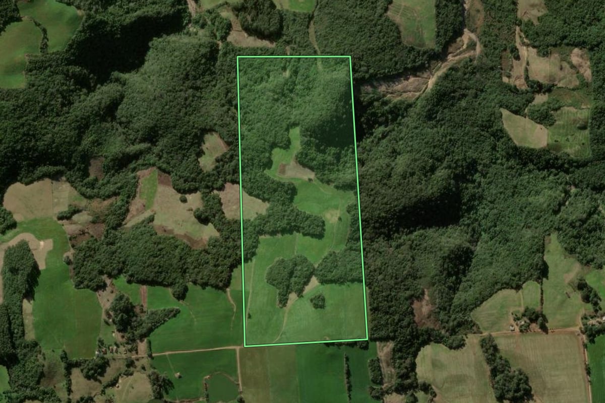 Imagem de satélite do imóvel rural em Silveira Martins (RS), com o contorno declarado no CAR desenhado por cima.
