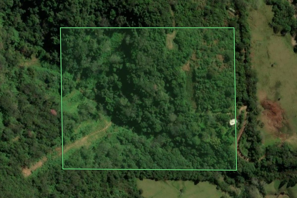 Imagem de satélite do imóvel rural em Silveira Martins (RS), com o contorno declarado no CAR desenhado por cima.