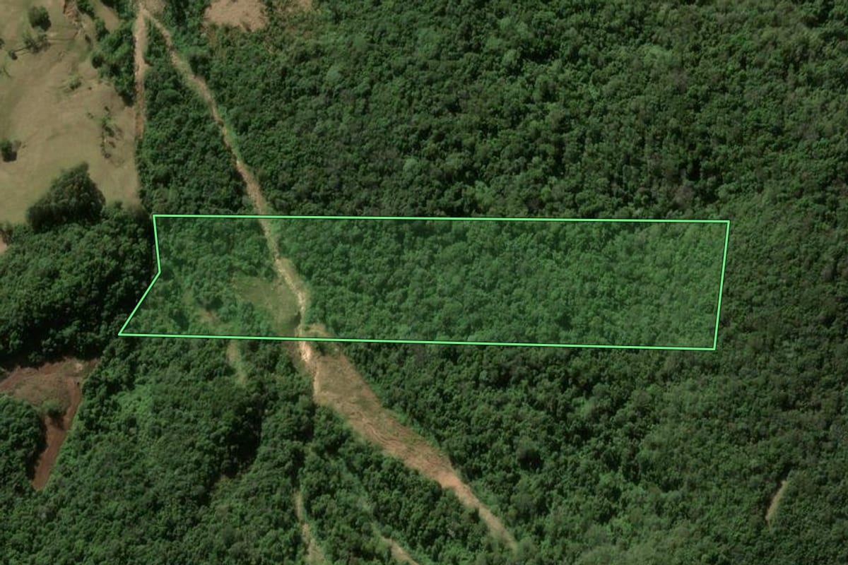 Imagem de satélite do imóvel rural em Silveira Martins (RS), com o contorno declarado no CAR desenhado por cima.