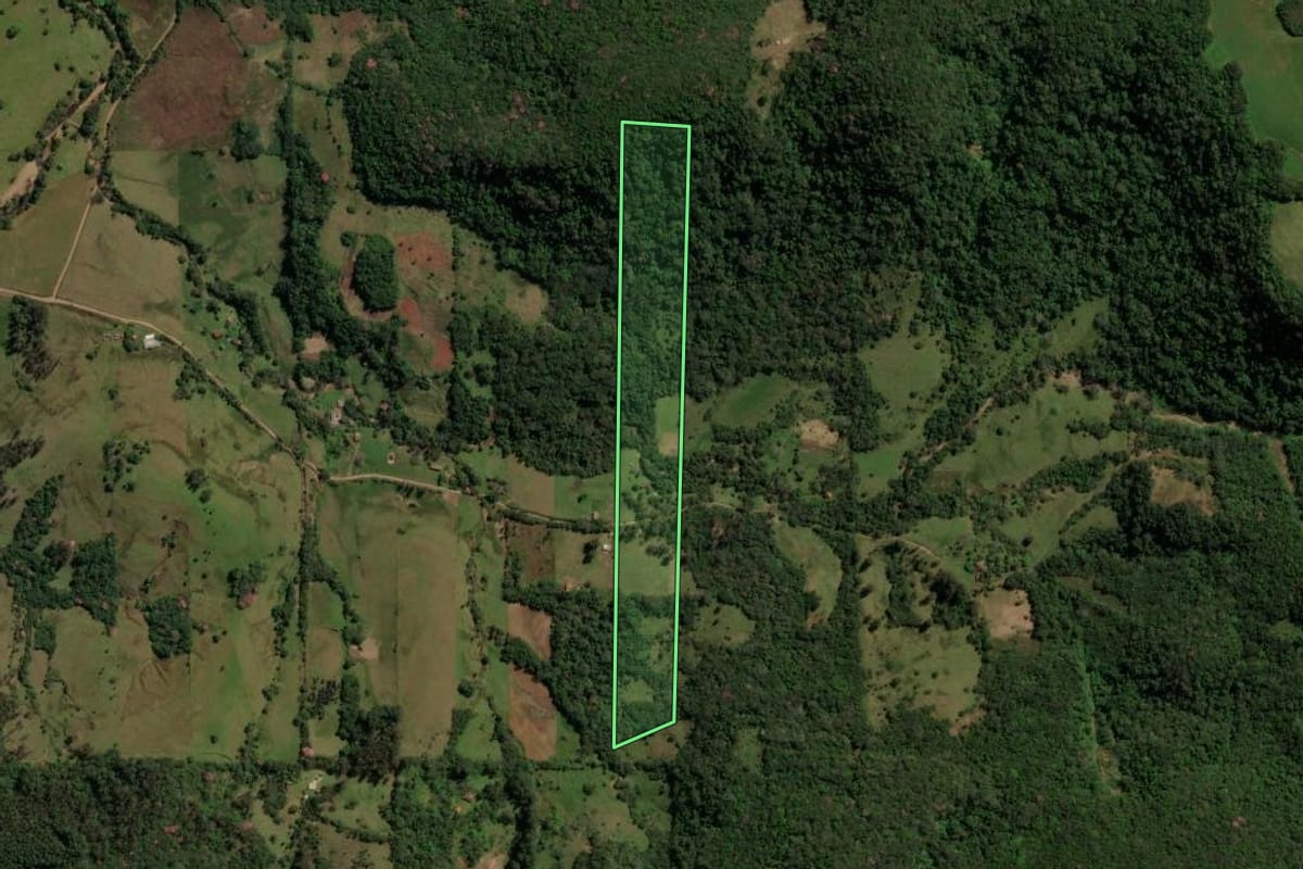 Imagem de satélite do imóvel rural em Silveira Martins (RS), com o contorno declarado no CAR desenhado por cima.