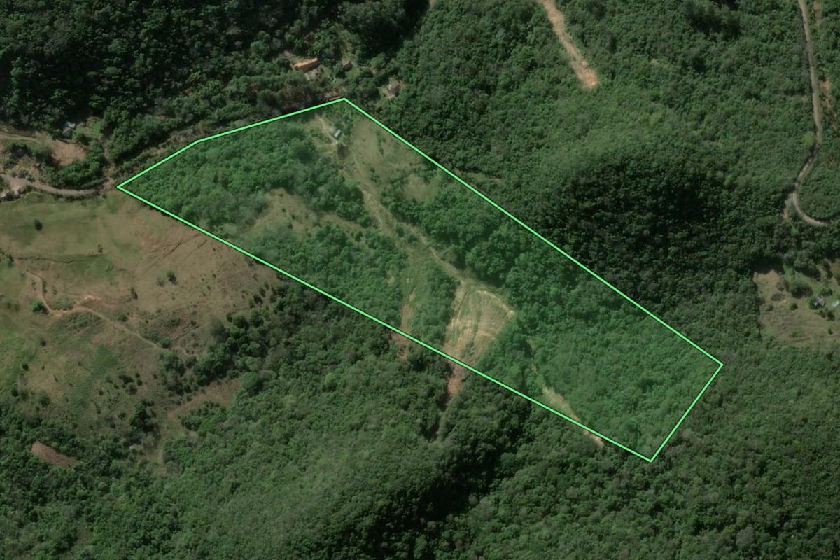 Imagem de satélite do imóvel rural em Silveira Martins (RS), com o contorno declarado no CAR desenhado por cima.