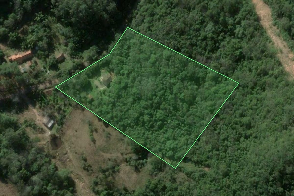 Imagem de satélite do imóvel rural em Silveira Martins (RS), com o contorno declarado no CAR desenhado por cima.