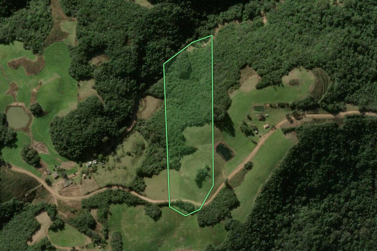 Imagem de satélite do imóvel rural em Silveira Martins (RS), com o contorno declarado no CAR desenhado por cima.