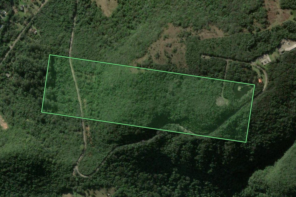 Imagem de satélite do imóvel rural em Silveira Martins (RS), com o contorno declarado no CAR desenhado por cima.