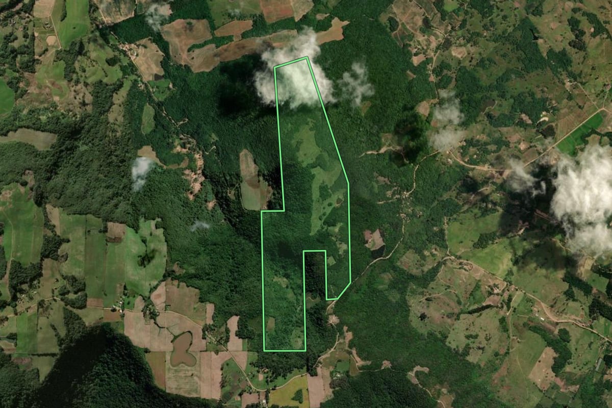 Imagem de satélite do imóvel rural em Silveira Martins (RS), com o contorno declarado no CAR desenhado por cima.
