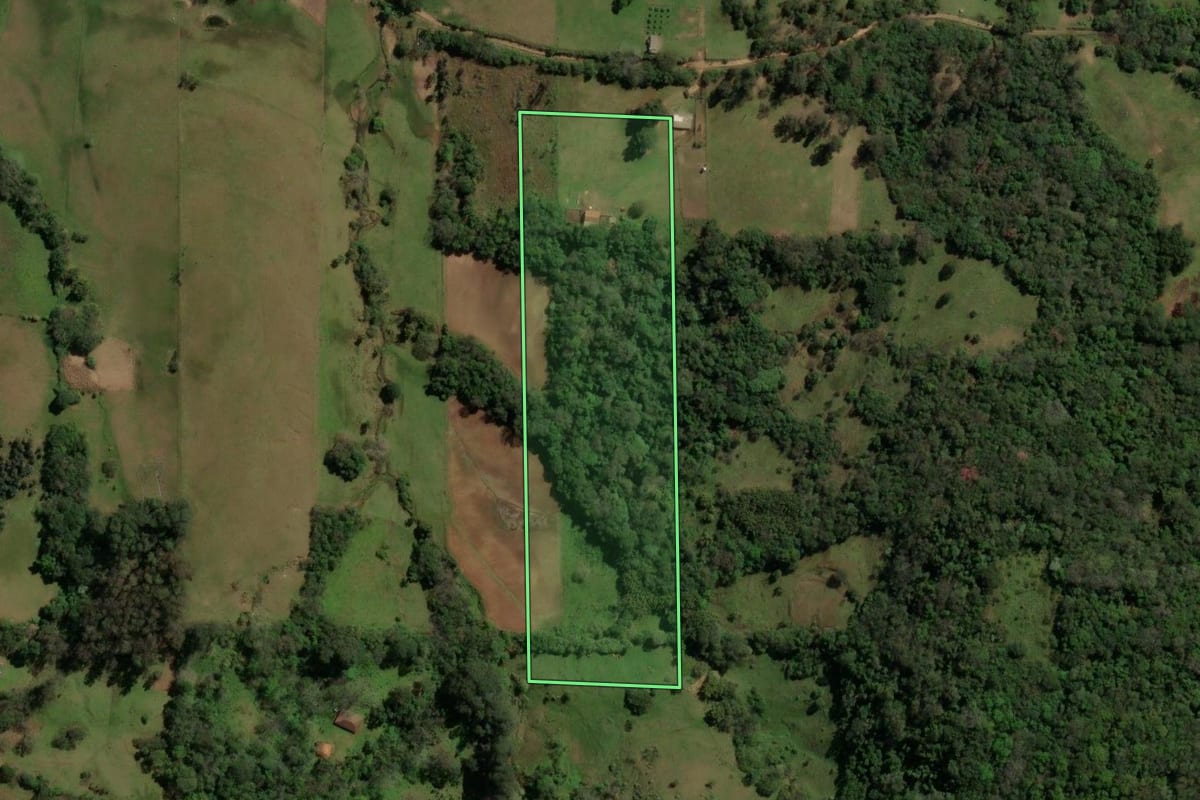 Imagem de satélite do imóvel rural em Silveira Martins (RS), com o contorno declarado no CAR desenhado por cima.