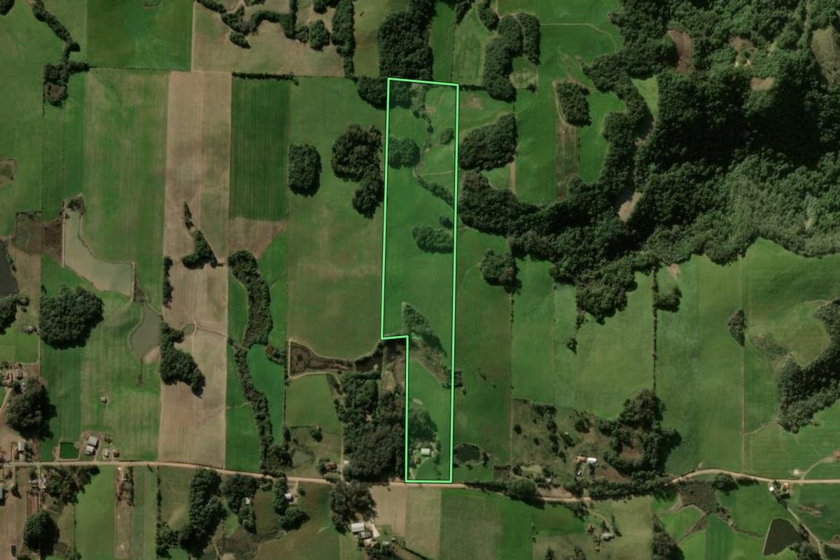 Imagem de satélite do imóvel rural em Silveira Martins (RS), com o contorno declarado no CAR desenhado por cima.