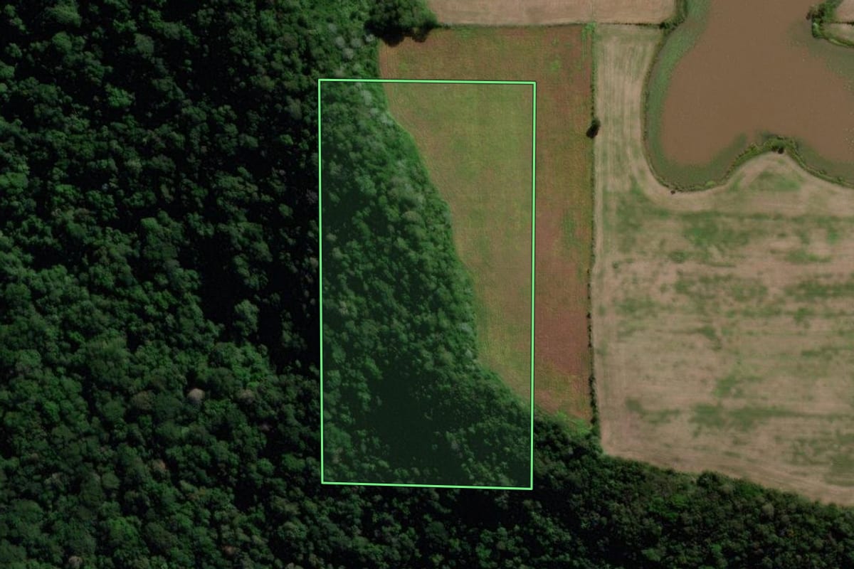 Imagem de satélite do imóvel rural em Silveira Martins (RS), com o contorno declarado no CAR desenhado por cima.