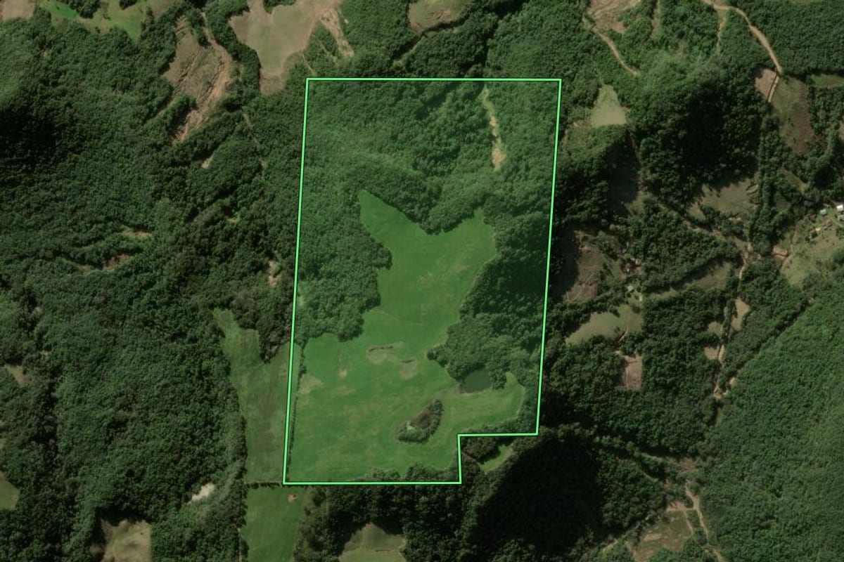 Imagem de satélite do imóvel rural em Silveira Martins (RS), com o contorno declarado no CAR desenhado por cima.
