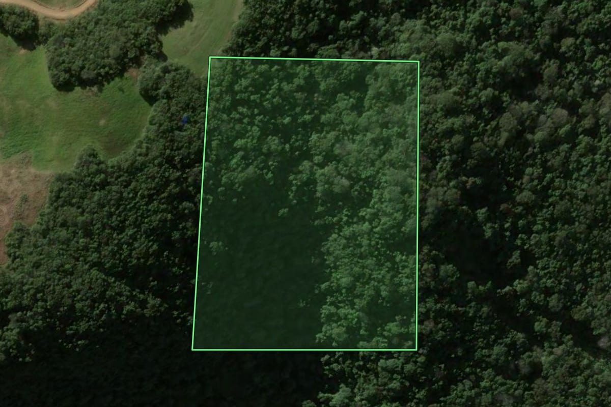 Imagem de satélite do imóvel rural em Silveira Martins (RS), com o contorno declarado no CAR desenhado por cima.