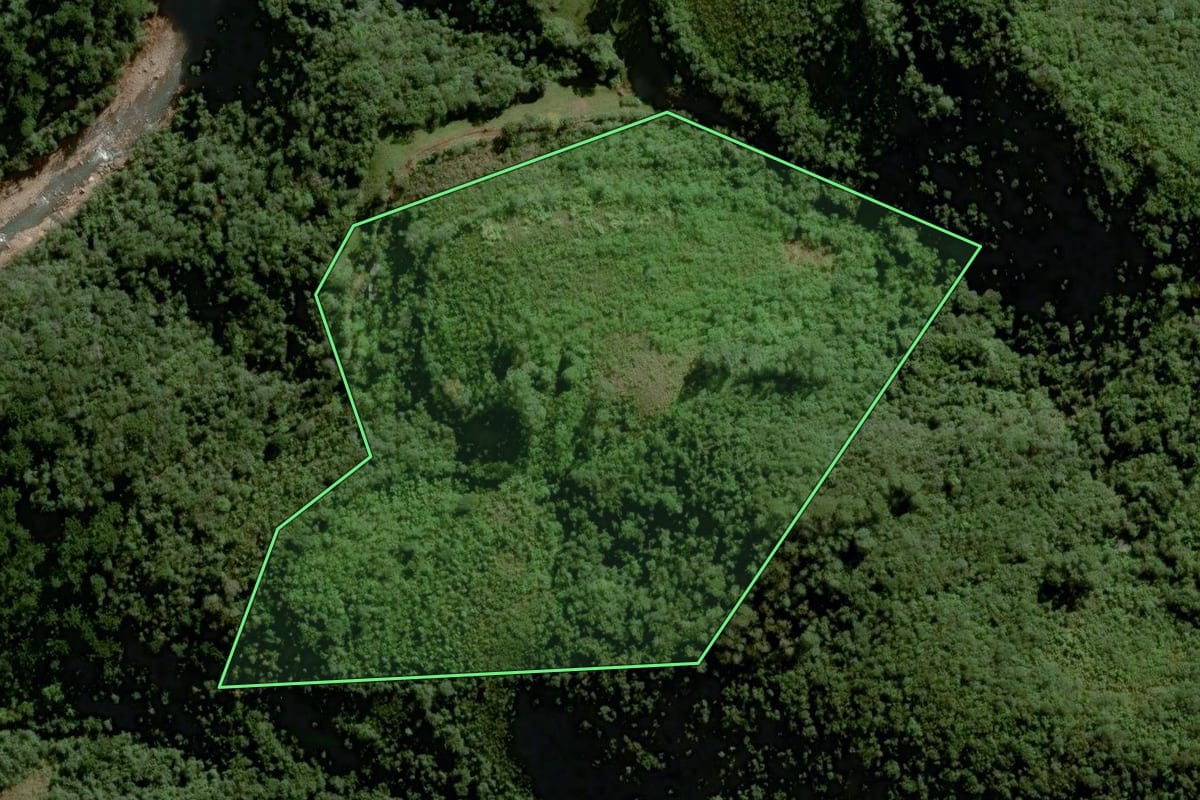Imagem de satélite do imóvel rural em Sinimbu (RS), com o contorno declarado no CAR desenhado por cima.