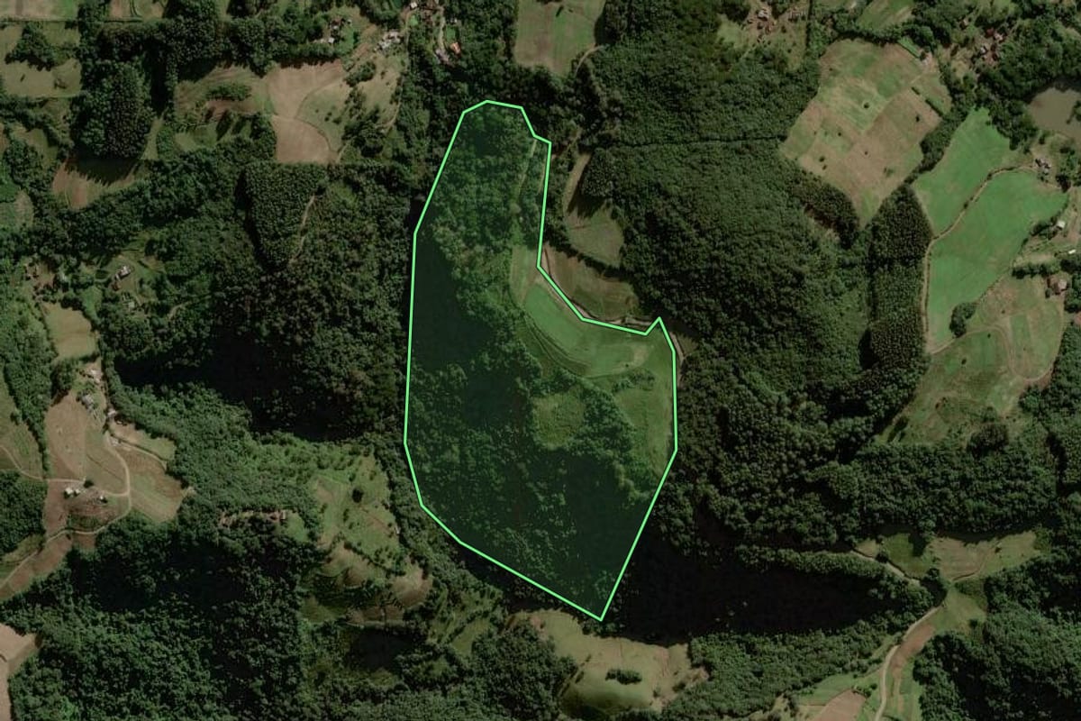 Imagem de satélite do imóvel rural em Sinimbu (RS), com o contorno declarado no CAR desenhado por cima.