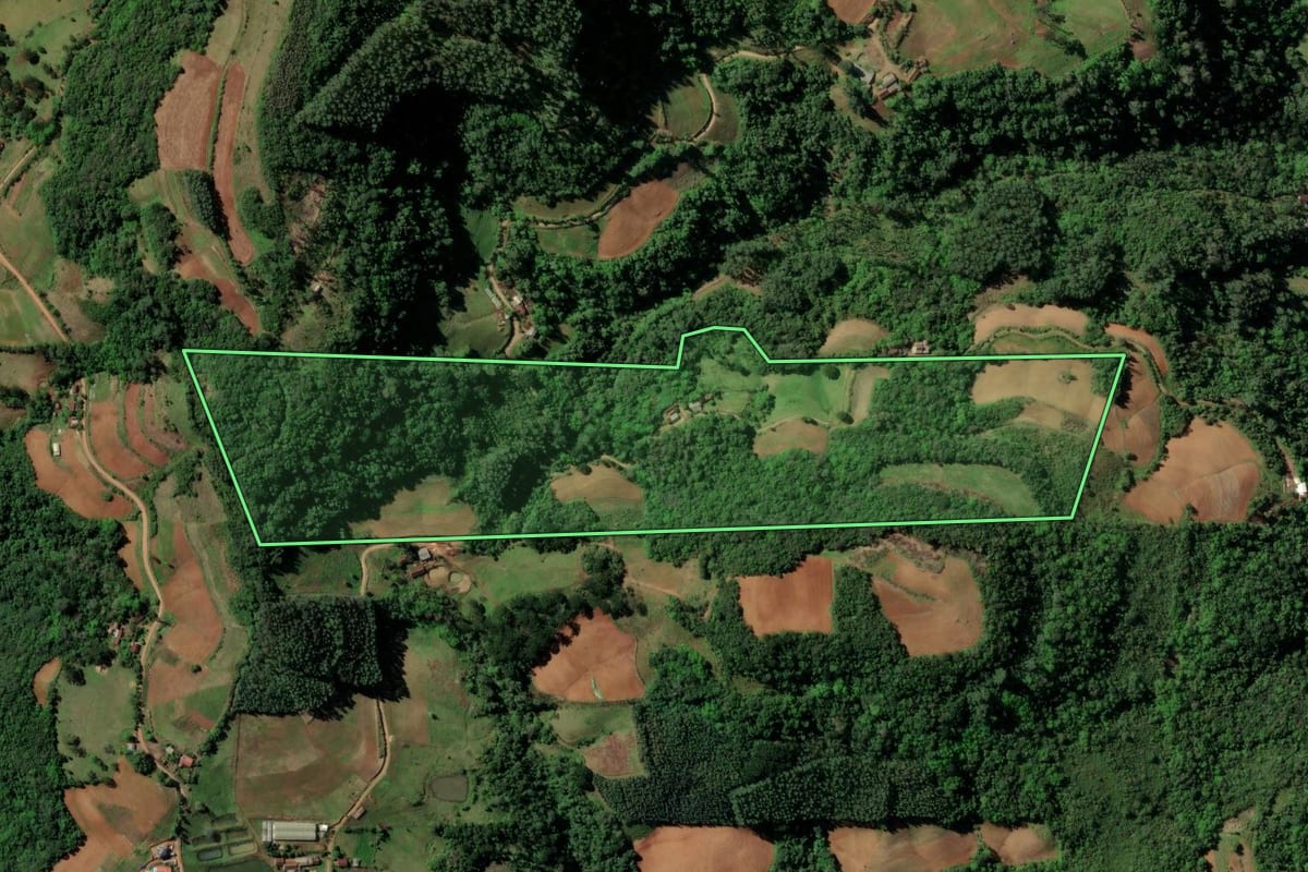 Imagem de satélite do imóvel rural em Sinimbu (RS), com o contorno declarado no CAR desenhado por cima.
