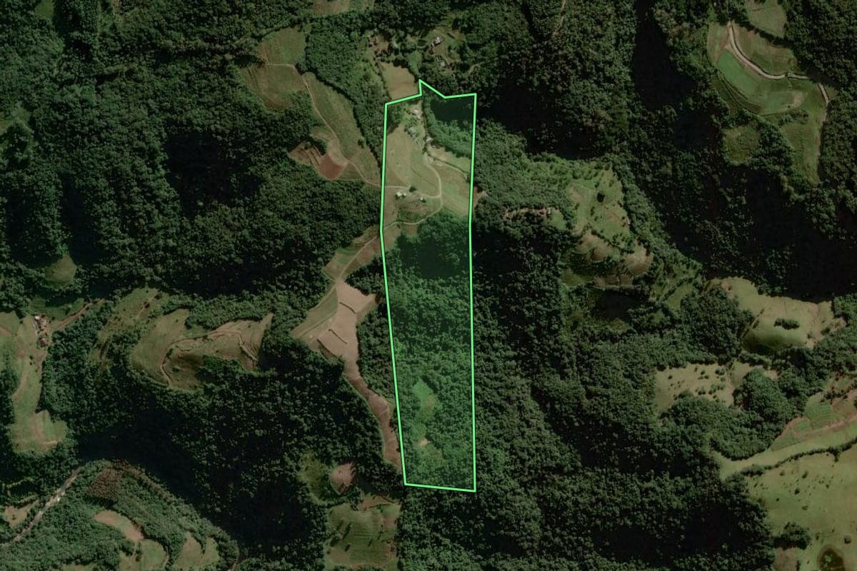 Imagem de satélite do imóvel rural em Sinimbu (RS), com o contorno declarado no CAR desenhado por cima.