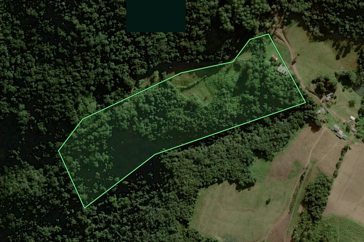 Imagem de satélite do imóvel rural em Sinimbu (RS), com o contorno declarado no CAR desenhado por cima.