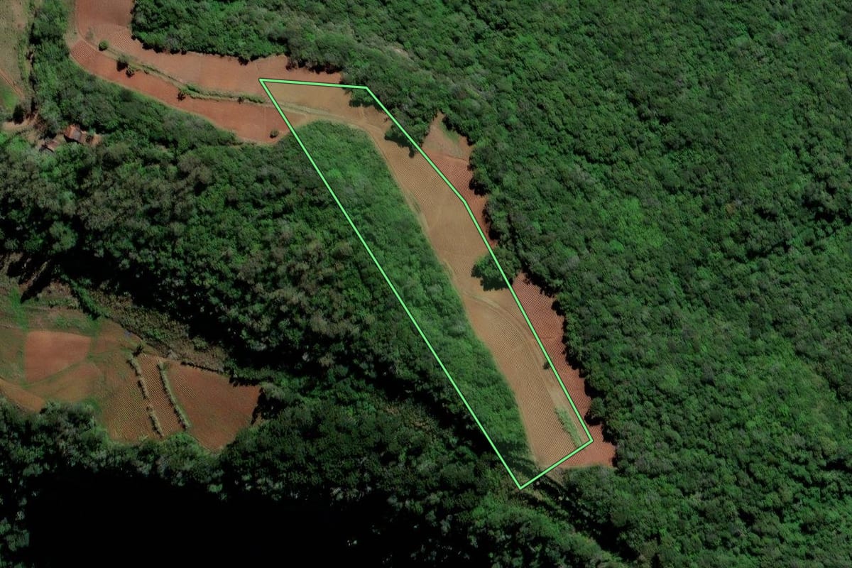 Imagem de satélite do imóvel rural em Sinimbu (RS), com o contorno declarado no CAR desenhado por cima.