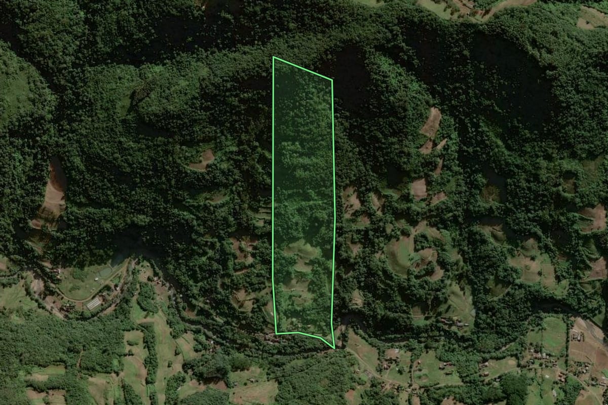 Imagem de satélite do imóvel rural em Sinimbu (RS), com o contorno declarado no CAR desenhado por cima.