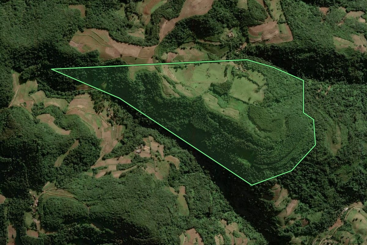 Imagem de satélite do imóvel rural em Sinimbu (RS), com o contorno declarado no CAR desenhado por cima.