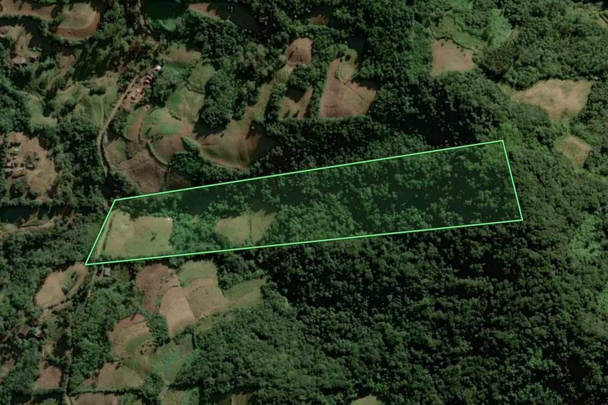 Imagem de satélite do imóvel rural em Sinimbu (RS), com o contorno declarado no CAR desenhado por cima.